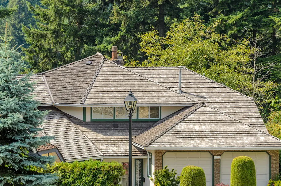 roof